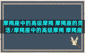 摩羯座中的高级摩羯 摩羯座的灵活/摩羯座中的高级摩羯 摩羯座的灵活-我的网站